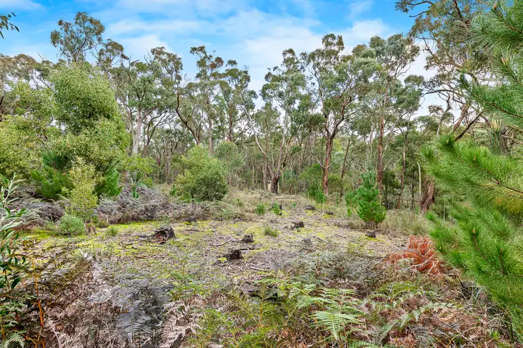 Seventh view of Homely rural property listing, 115 Corio Dam Rd, Scarsdale VIC 3351