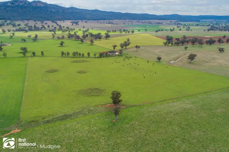 7458 Bylong Valley Way, Bylong NSW 2849