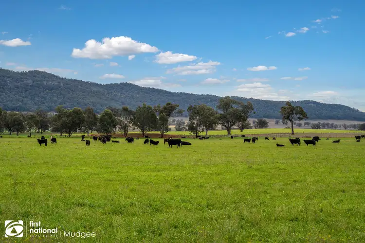 Second view of Homely rural property listing, 7458 Bylong Valley Way, Bylong NSW 2849