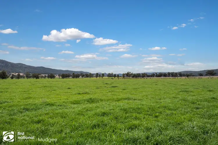 Third view of Homely rural property listing, 7458 Bylong Valley Way, Bylong NSW 2849