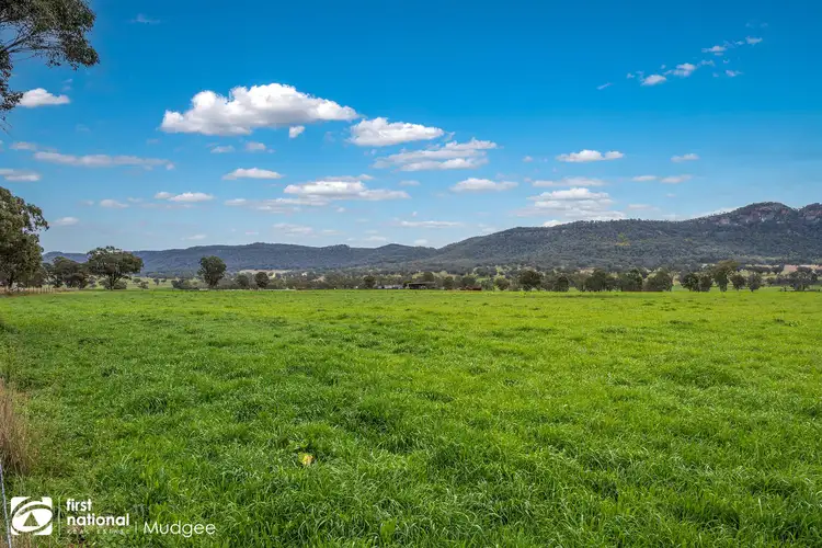 Fourth view of Homely rural property listing, 7458 Bylong Valley Way, Bylong NSW 2849
