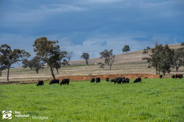 Fifth view of Homely rural property listing, 7458 Bylong Valley Way, Bylong NSW 2849