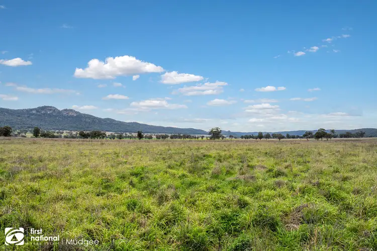 Sixth view of Homely rural property listing, 7458 Bylong Valley Way, Bylong NSW 2849