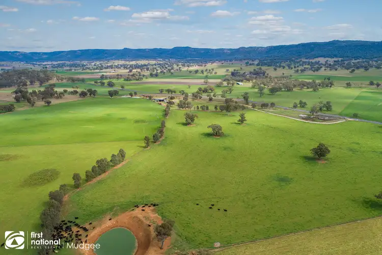 Seventh view of Homely rural property listing, 7458 Bylong Valley Way, Bylong NSW 2849