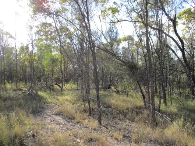 Lot 8 Tara Chinchilla Road, Tara QLD 4421