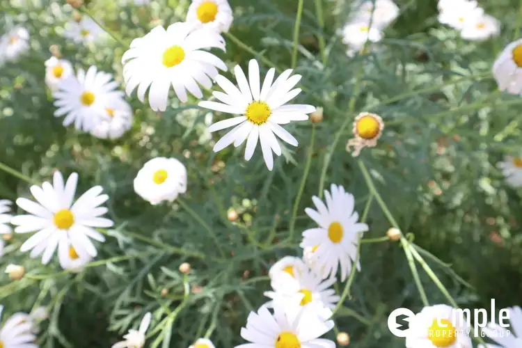 Second view of Homely apartment listing, 15/15 Pudney Place, Orelia WA 6167