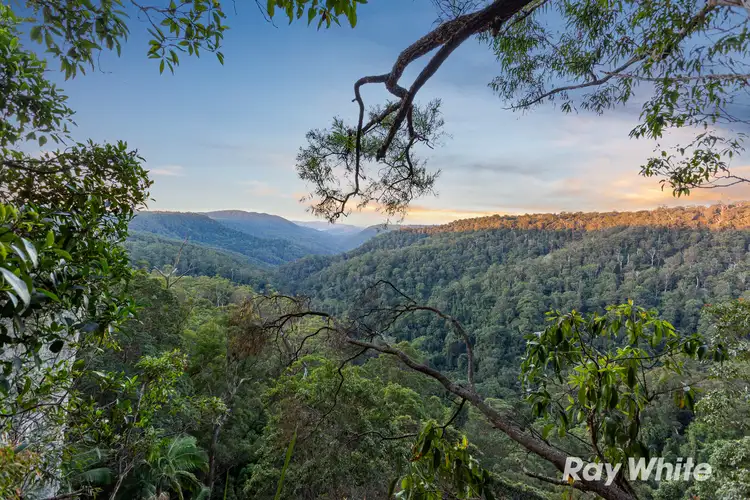 41 Gwongorella Parade, Springbrook QLD 4213