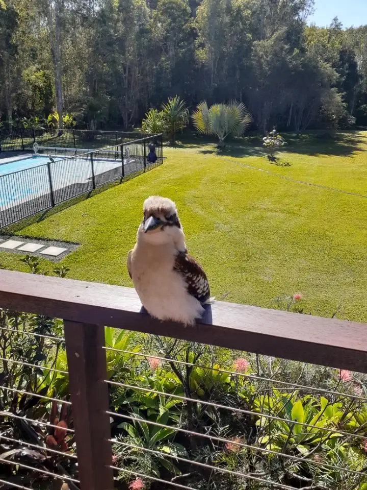 Second view of Homely house listing, 31 Misty Lane, Cooroibah QLD 4565