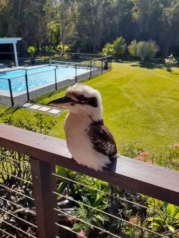 Sixth view of Homely house listing, 31 Misty Lane, Cooroibah QLD 4565