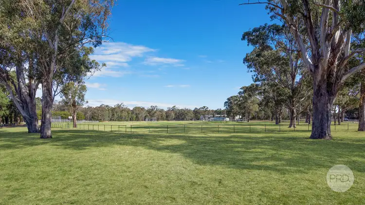 Seventh view of Homely house listing, 58 William Street, Cambridge Park NSW 2747