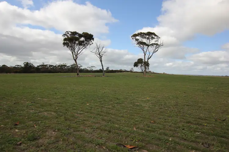 Lot 25303 Dixon Road, Narembeen WA 6369