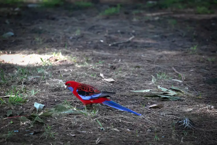 Seventh view of Homely house listing, 1 Murramarang Road, Bawley Point NSW 2539