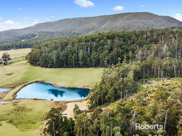 Third view of Homely land listing, 72 Hills Road, Gray TAS 7215