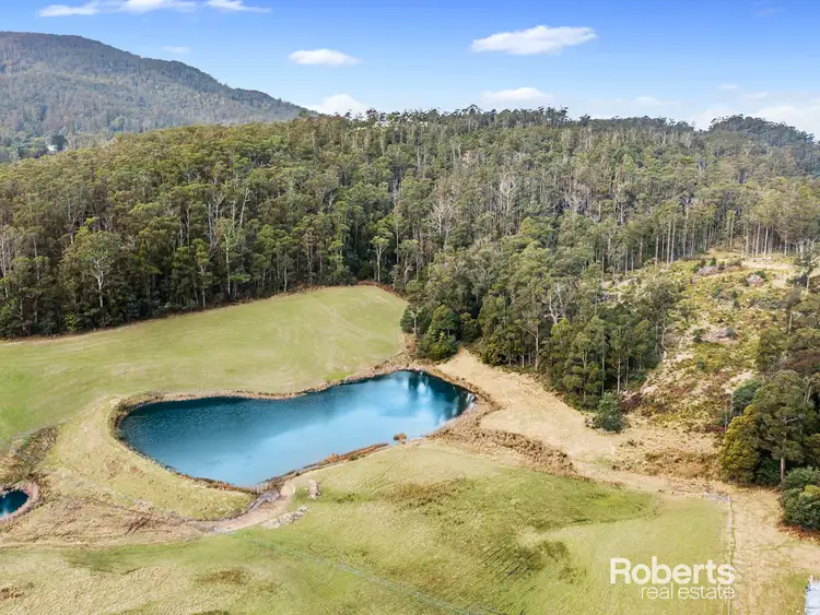 Fourth view of Homely land listing, 72 Hills Road, Gray TAS 7215