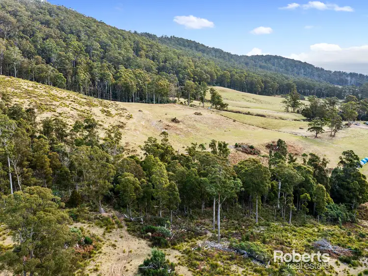 Fifth view of Homely land listing, 72 Hills Road, Gray TAS 7215