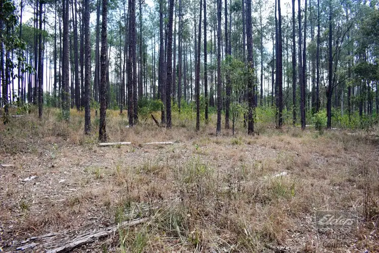 Main view of Homely land listing, 814 Beckmanns Road, Glenwood QLD 4570