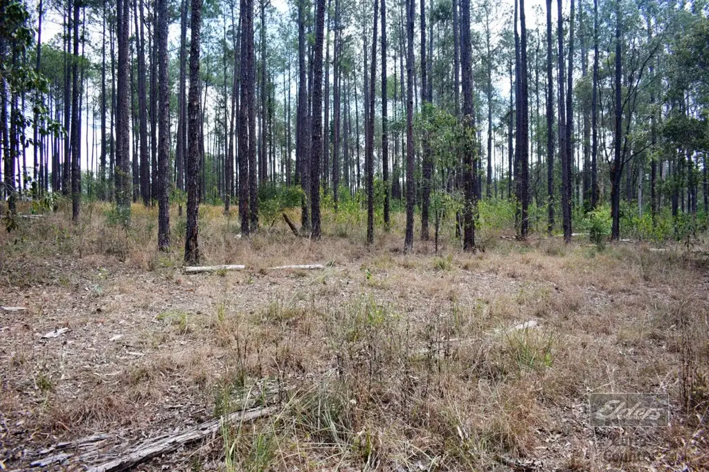 Main view of Homely land listing, 814 Beckmanns Road, Glenwood QLD 4570