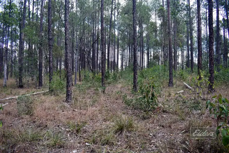 Second view of Homely land listing, 814 Beckmanns Road, Glenwood QLD 4570