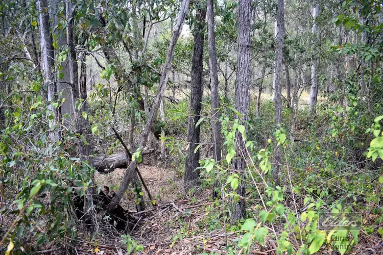 Third view of Homely land listing, 814 Beckmanns Road, Glenwood QLD 4570