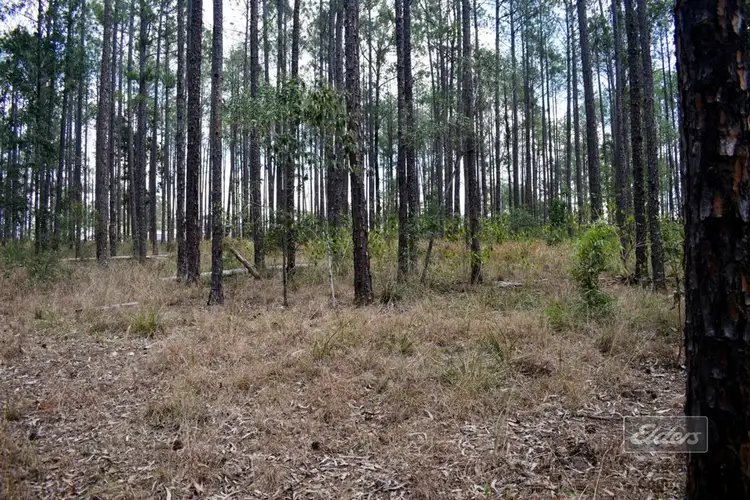 Fifth view of Homely land listing, 814 Beckmanns Road, Glenwood QLD 4570