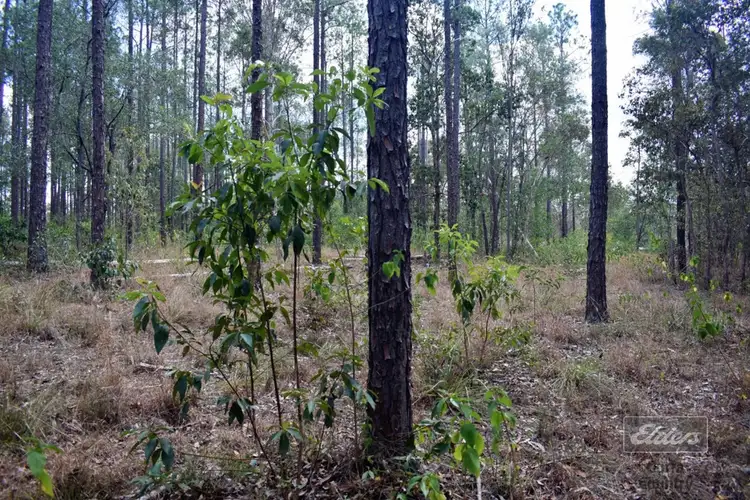 Seventh view of Homely land listing, 814 Beckmanns Road, Glenwood QLD 4570