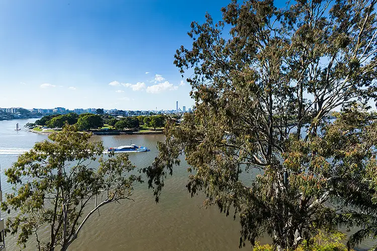 Main view of Homely unit listing, 6/36 Sandford St, St Lucia QLD 4067