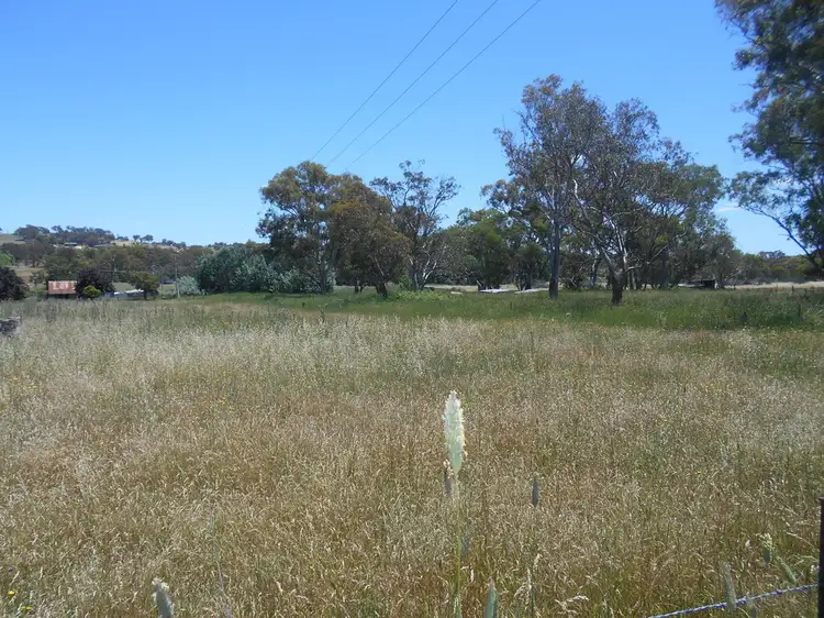 Fifth view of Homely rural property listing, 4701 Olypmic Highway, Young NSW 2594