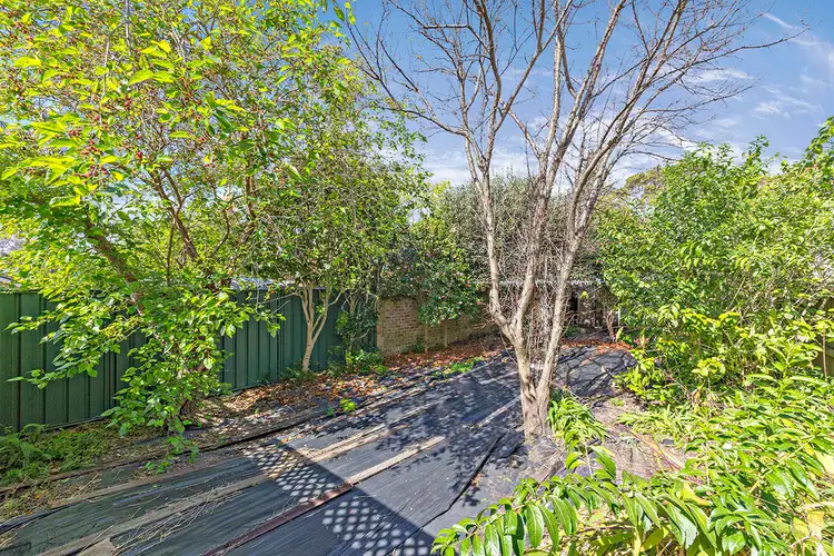 Third view of Homely semi-detached listing, 64 Chandos Street, Ashfield NSW 2131