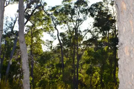 Fourth view of Homely land listing, 18 (Lot 80) Holly Place, Cowaramup WA 6284