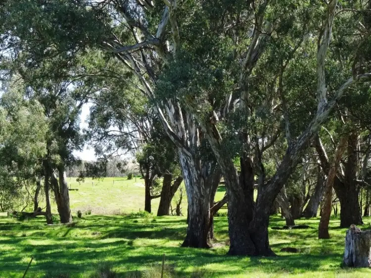 Seventh view of Homely rural property listing, Address available on request