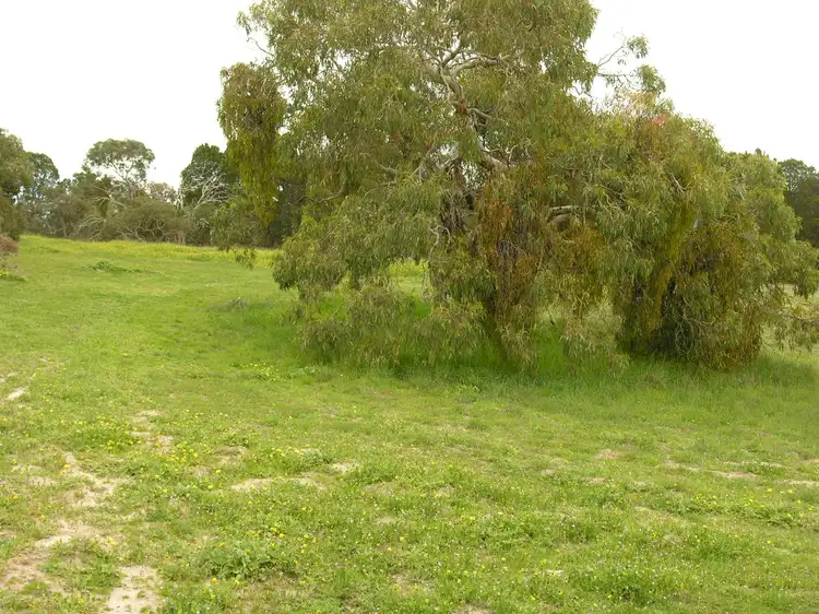 Third view of Homely land listing, Lot 4 Mewett Court, Williamstown SA 5351