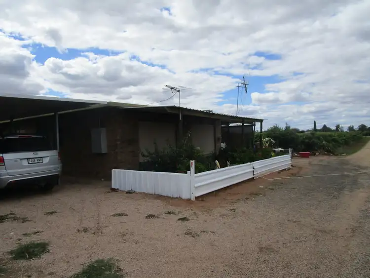 Second view of Homely rural property listing, 8 Arnold Coates Rd, Cobdogla SA 5346