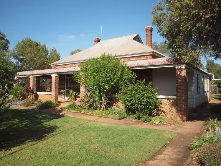 - Pinehurst, West Wyalong NSW 2671