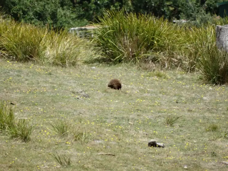 Seventh view of Homely land listing, Lot 15 Menzies Road, Lachlan TAS 7140