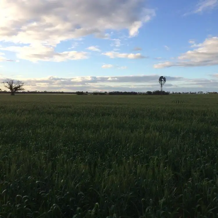 Fifth view of Homely rural property listing, Address available on request