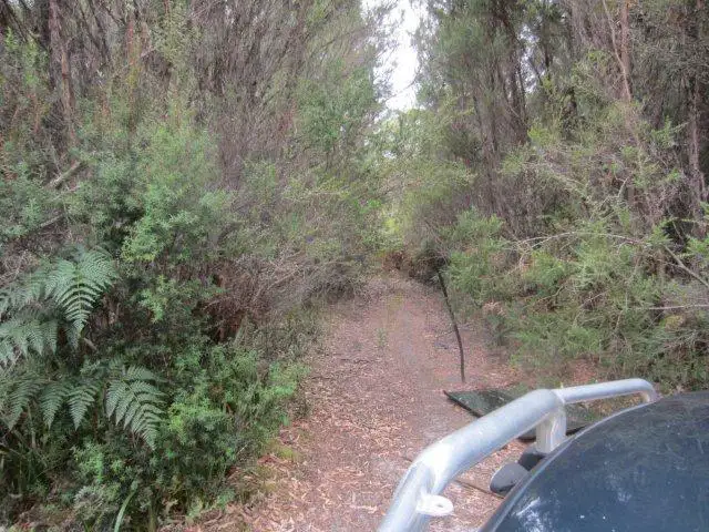 Seventh view of Homely land listing, 0 Henty Road, Zeehan TAS 7469