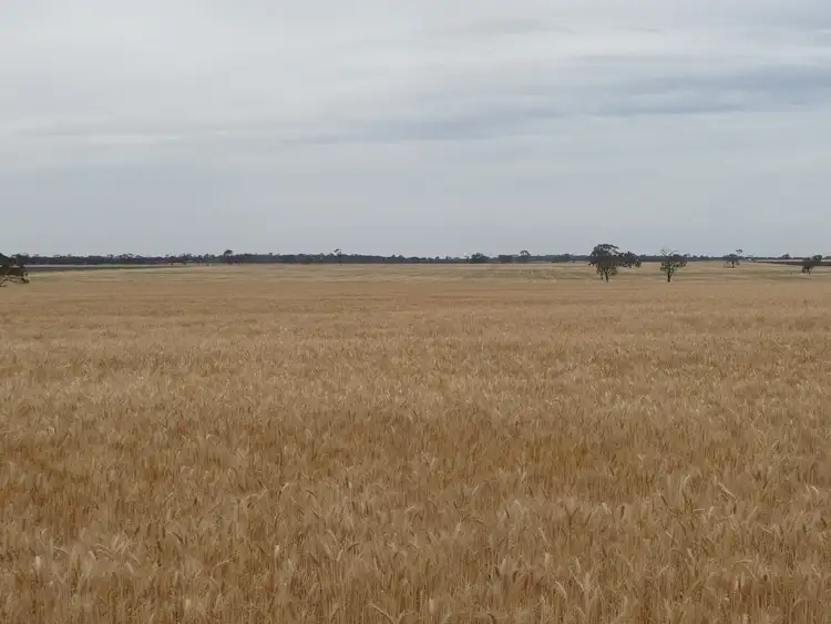 Main view of Homely rural property listing, 781 Leeor Road, Lillimur via, Kaniva VIC 3419