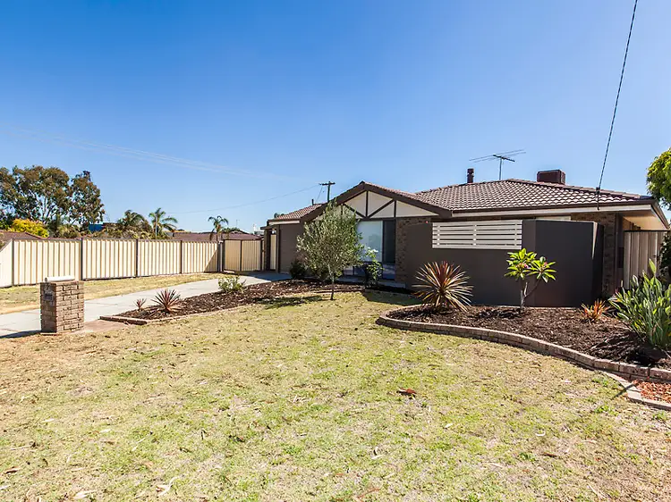 Main view of Homely house listing, 37 Magnolia Gardens, Yangebup WA 6164
