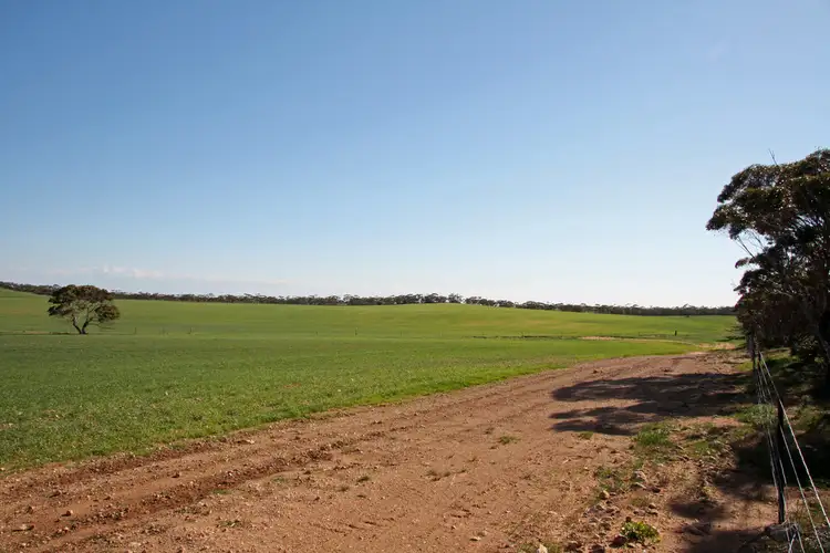 Main view of Homely rural property listing, Section 1 Hundred of Holder, Maggea SA 5311