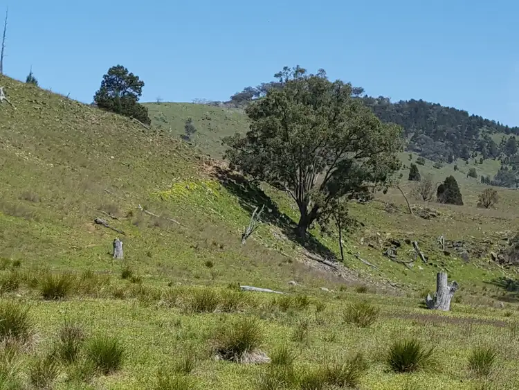 Sixth view of Homely rural property listing, 604 Grattai Creek Road, Mudgee NSW 2850