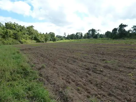 Sixth view of Homely rural property listing, Address available on request