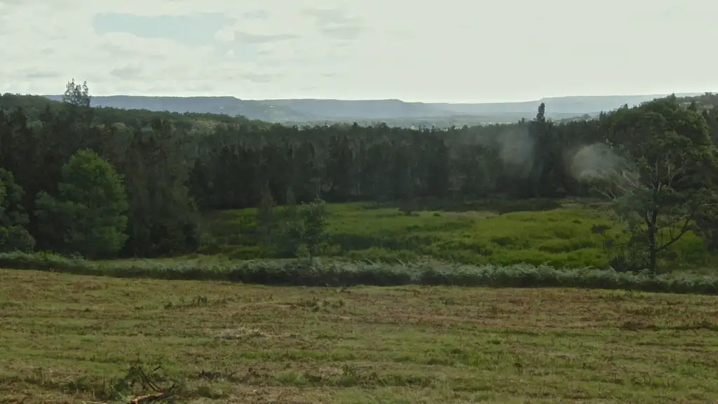 Main view of Homely land listing, 74 Narrawallee Ck Rd, Lake Conjola NSW 2539