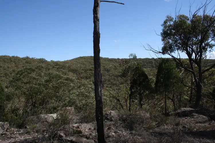 Fifth view of Homely rural property listing, 355 Gordons Gully Road, Mudgee NSW 2850