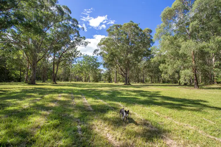 Second view of Homely rural property listing, Lot 6, 2408 The River Road, Milton NSW 2538