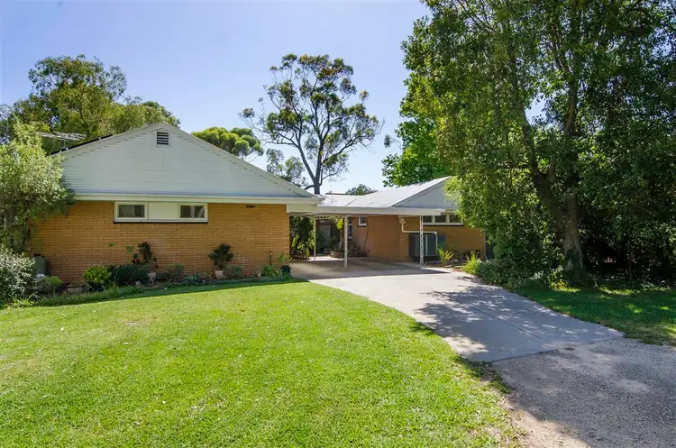 Second view of Homely house listing, 3 Rectory Place, Naracoorte SA 5271
