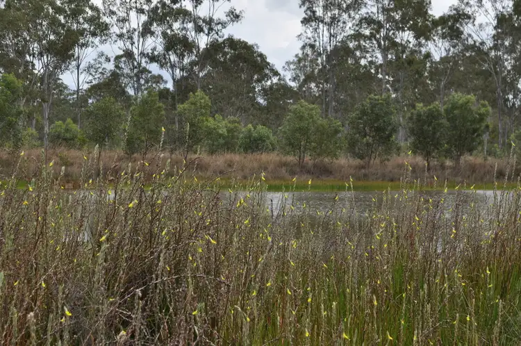 Third view of Homely land listing, 730 Round Hill Road, Captain Creek QLD 4677
