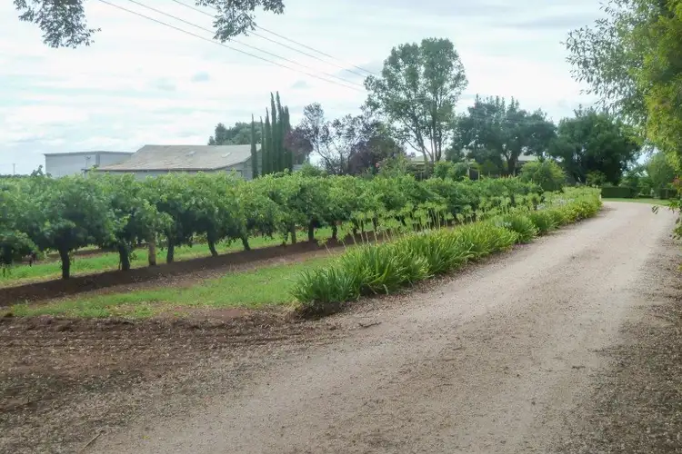 Third view of Homely rural property listing, Farm 2181 Pavese Road, Yoogali NSW 2680