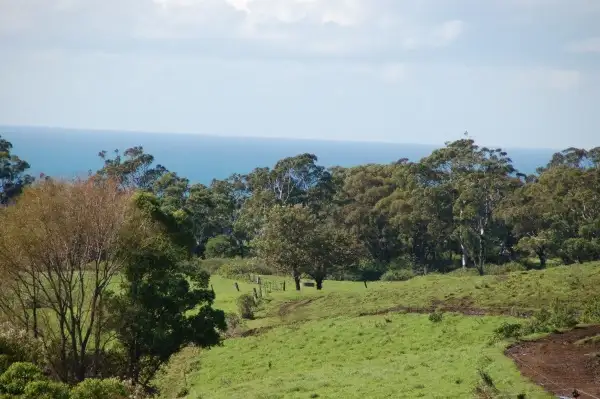 Sixth view of Homely rural property listing, Lot 12 "Croome Vale" Jamberoo Road, Jamberoo NSW 2533