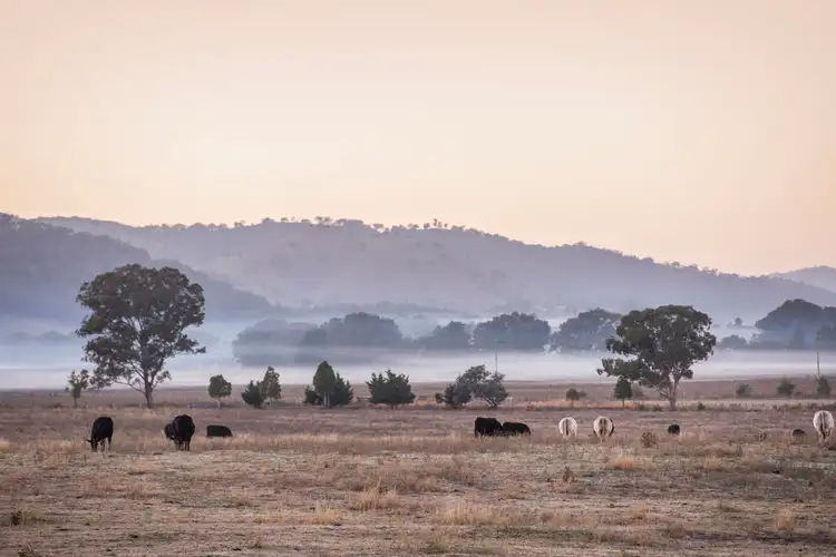 Third view of Homely land listing, Lot 8a Bombira Estate, Mudgee NSW 2850