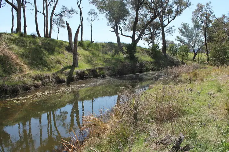 Second view of Homely rural property listing, 697 Linburn Lane, Mudgee NSW 2850